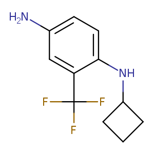 N1-cyclobutyl-2-(trifluoromethyl)benzene-1,4-diamine