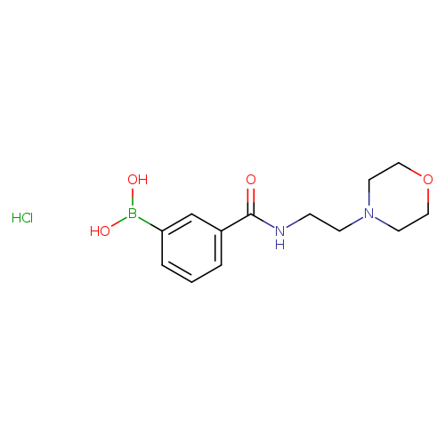 3-(2-Morpholinoethylcarbamoyl)phenylboronic acid, HCl