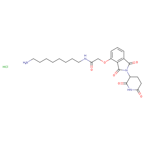 Thalidomide 4'-oxyacetamide-alkylC8-amine