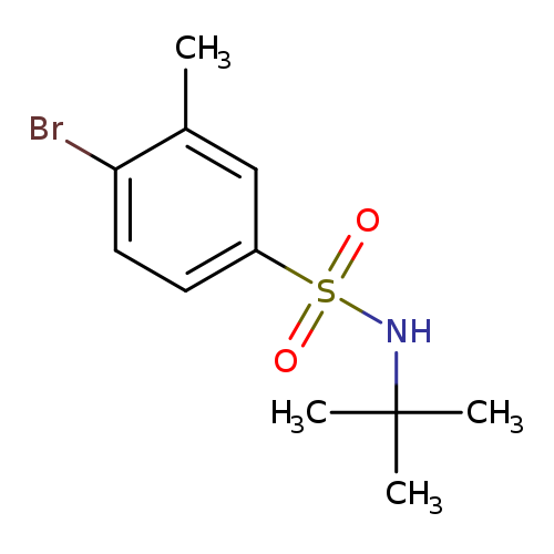 4-Bromo-N-tert-butyl-3-methylbenzenesulfonamide