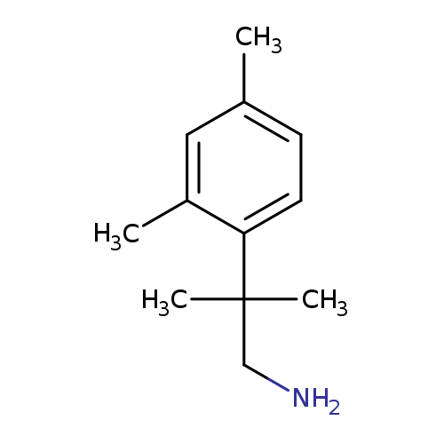 2-(2,4-dimethylphenyl)-2-methylpropan-1-amine
