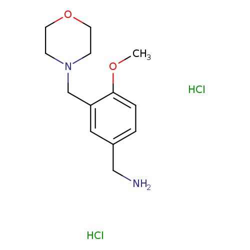 {4-methoxy-3-[(morpholin-4-yl)methyl]phenyl}methanaminedihydrochloride