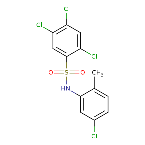 2,4,5-trichloro-N-(5-chloro-2-methylphenyl)benzene-1-sulfonamide