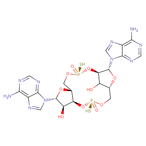 ML RR-S2 CDA