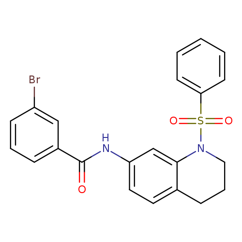 N-[1-(benzenesulfonyl)-1,2,3,4-tetrahydroquinolin-7-yl]-3-bromobenzamide
