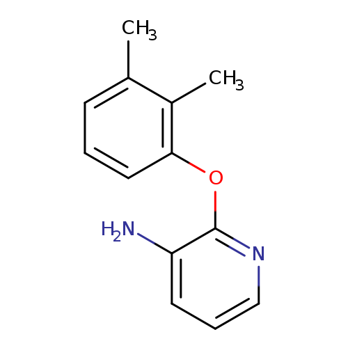 2-(2,3-Dimethylphenoxy)pyridin-3-amine