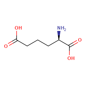 (R)-2-Aminohexanedioic acid