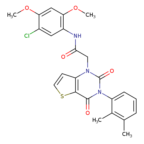 N-(5-chloro-2,4-dimethoxyphenyl)-2-[3-(2,3-dimethylphenyl)-2,4-dioxo-1H,2H,3H,4H-thieno[3,2-d]pyrimidin-1-yl]acetamide