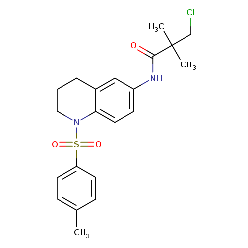 3-chloro-2,2-dimethyl-N-[1-(4-methylbenzenesulfonyl)-1,2,3,4-tetrahydroquinolin-6-yl]propanamide