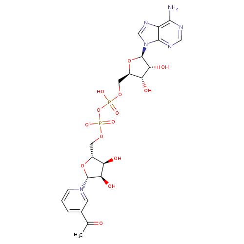 Acetylpyridine adenine dinucleotide