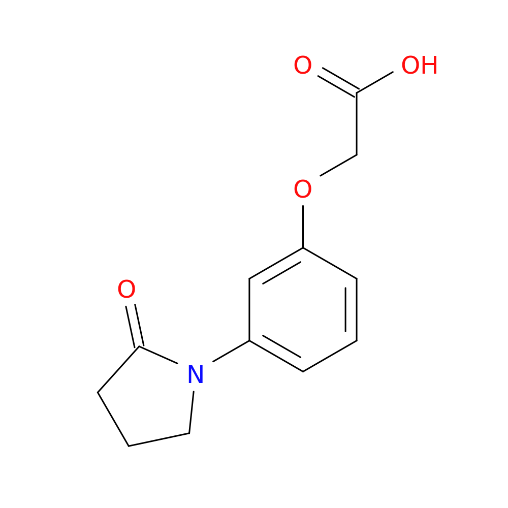 2-[3-(2-Oxopyrrolidin-1-Yl)Phenoxy]Acetic Acid