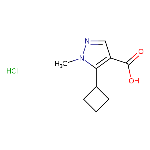 5-Cyclobutyl-1-methyl-1h-pyrazole-4-carboxylic acid hydrochloride