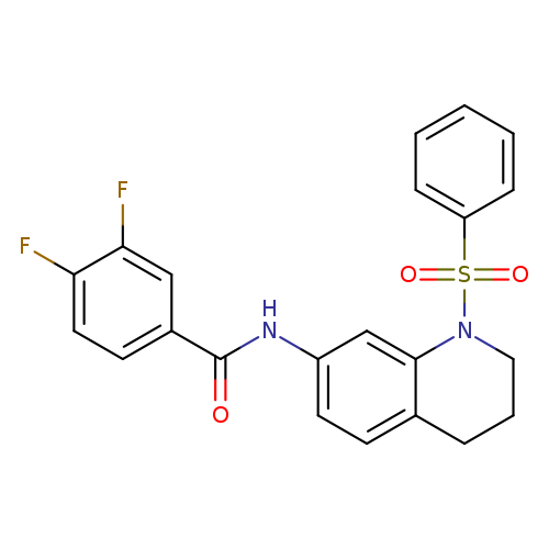 N-[1-(benzenesulfonyl)-1,2,3,4-tetrahydroquinolin-7-yl]-3,4-difluorobenzamide