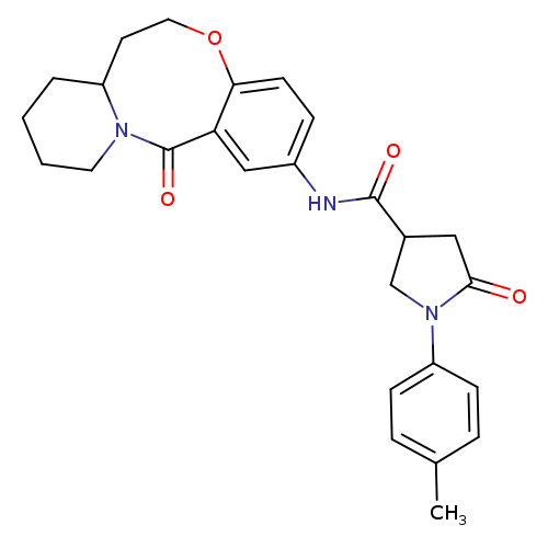 1-(4-methylphenyl)-5-oxo-N-{2-oxo-9-oxa-1-azatricyclo[10.4.0.0^{3,8}]hexadeca-3,5,7-trien-5-yl}pyrrolidine-3-carboxamide
