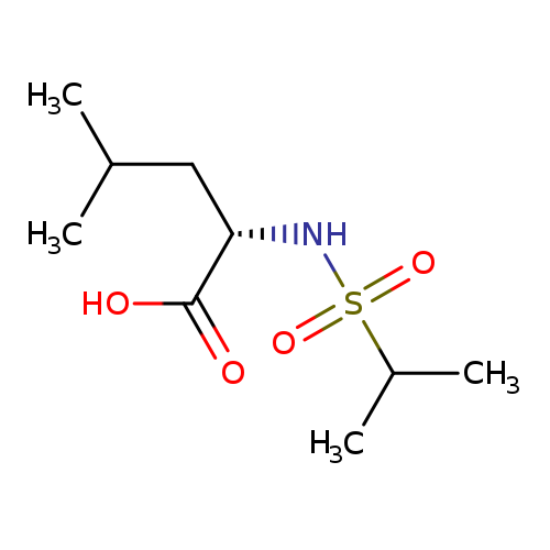 (2S) 4-Methyl-2-(propane-2-sulfonylamino)-pentanoic acid