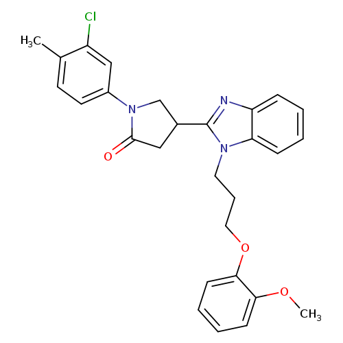 1-(3-chloro-4-methylphenyl)-4-{1-[3-(2-methoxyphenoxy)propyl]-1H-1,3-benzodiazol-2-yl}pyrrolidin-2-one