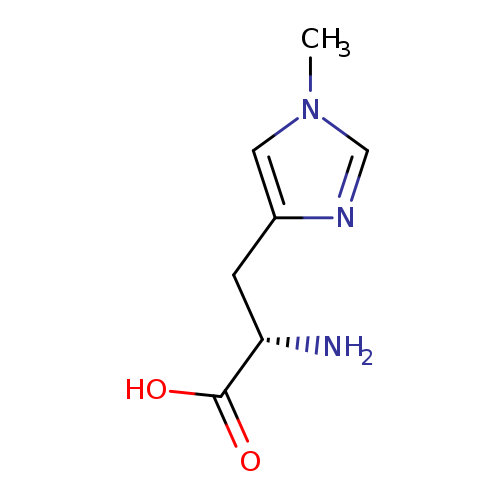 1-Methyl-L-histidine