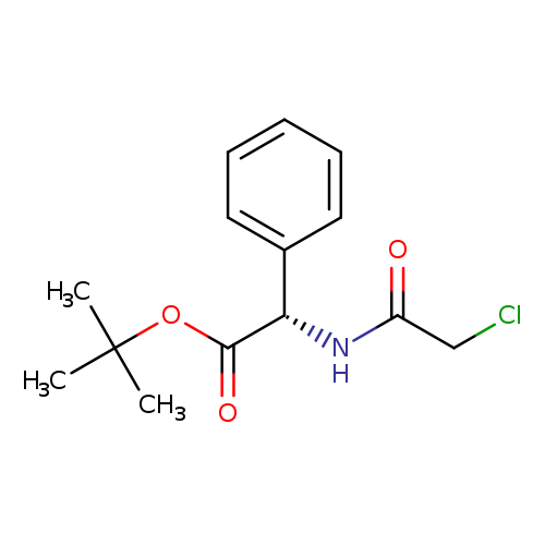 tert-butyl (2S)-2-(2-chloroacetamido)-2-phenylacetate
