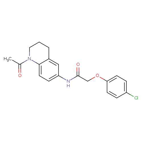 N-(1-acetyl-1,2,3,4-tetrahydroquinolin-6-yl)-2-(4-chlorophenoxy)acetamide