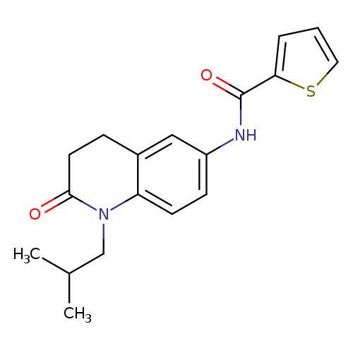N-[1-(2-methylpropyl)-2-oxo-1,2,3,4-tetrahydroquinolin-6-yl]thiophene-2-carboxamide