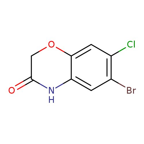 6-Bromo-7-chloro-2,4-dihydro-1,4-benzoxazin-3-one