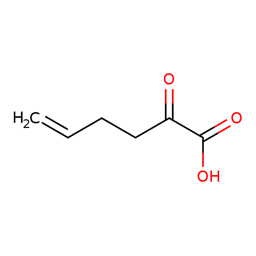 2-oxohex-5-enoic acid