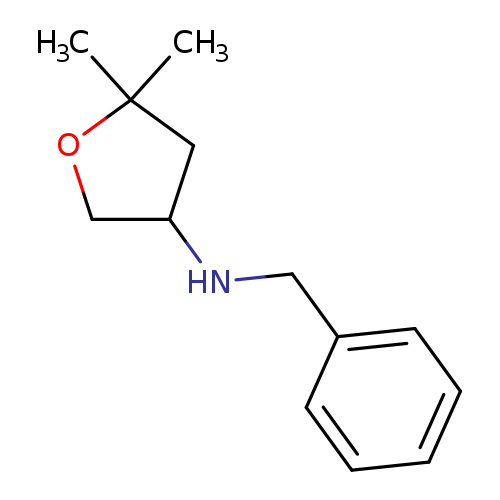 N-benzyl-5,5-dimethyloxolan-3-amine