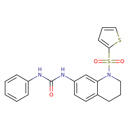 1-phenyl-3-[1-(thiophene-2-sulfonyl)-1,2,3,4-tetrahydroquinolin-7-yl]urea