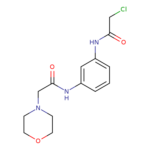 2-Chloro-n-(3-[(morpholin-4-ylacetyl)amino]phenyl)acetamide