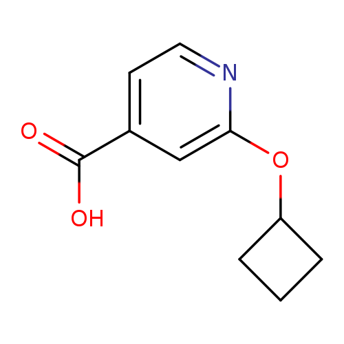 2-cyclobutoxypyridine-4-carboxylic acid