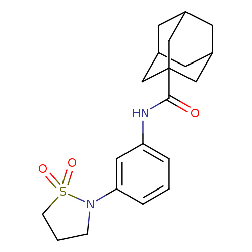 N-[3-(1,1-dioxo-1lambda6,2-thiazolidin-2-yl)phenyl]adamantane-1-carboxamide