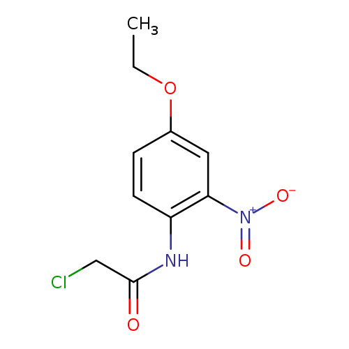 2-chloro-N-(4-ethoxy-2-nitrophenyl)acetamide