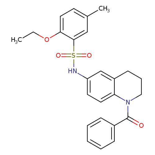 N-(1-benzoyl-1,2,3,4-tetrahydroquinolin-6-yl)-2-ethoxy-5-methylbenzene-1-sulfonamide