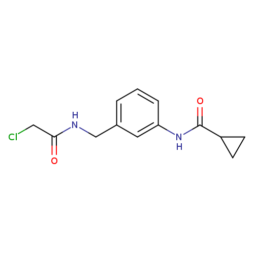 N-{3-[(2-chloroacetamido)methyl]phenyl}cyclopropanecarboxamide