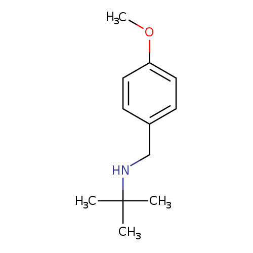 N-(1,1-Dimethylethyl)-4-methoxybenzenemethanamine