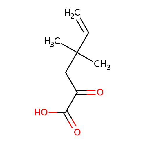 4,4-dimethyl-2-oxohex-5-enoic acid