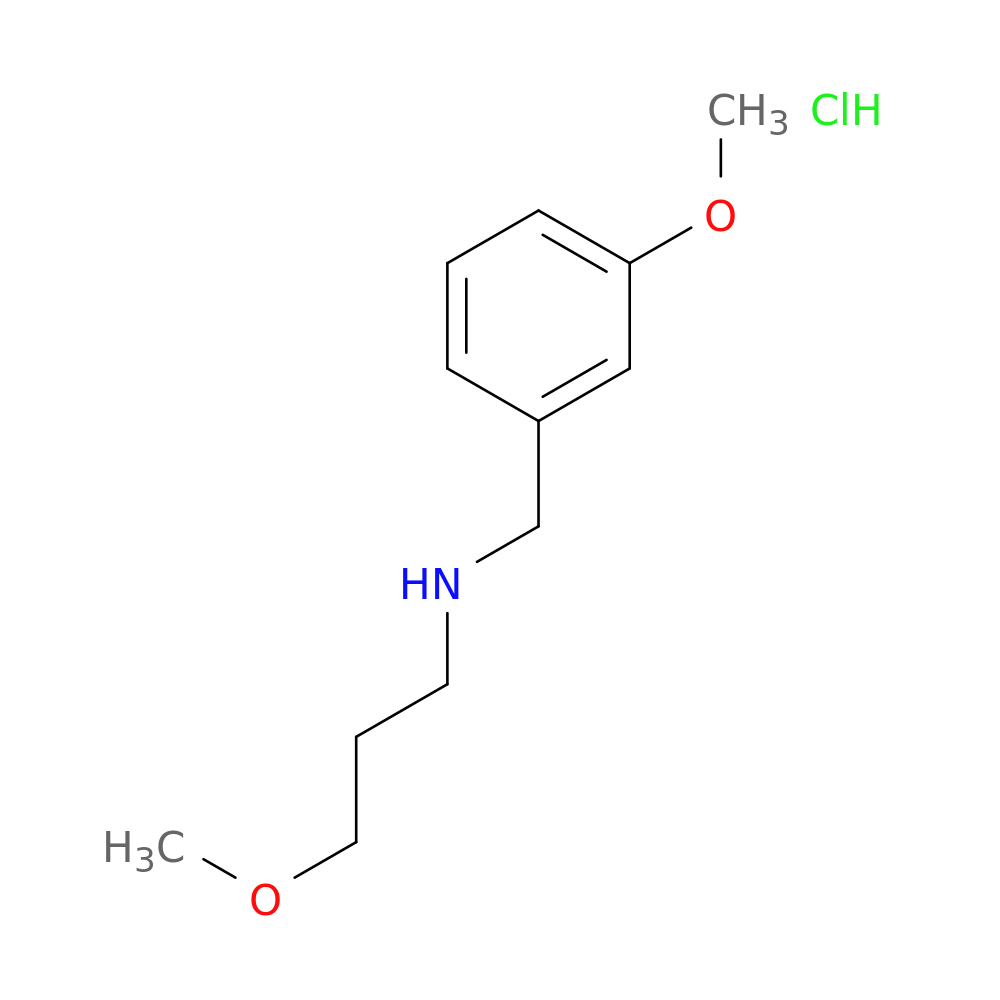 (3-methoxybenzyl)(3-methoxypropyl)amine hydrochloride