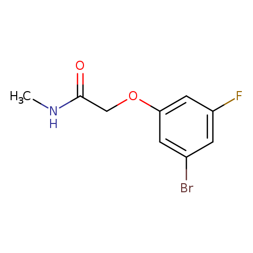 2-(3-Bromo-5-fluorophenoxy)-N-methylacetamide
