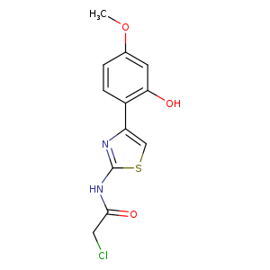 2-chloro-N-[4-(2-hydroxy-4-methoxyphenyl)-1,3-thiazol-2-yl]acetamide