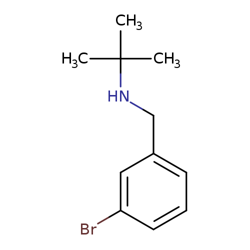 N-(3-bromobenzyl)-N-(tert-butyl)amine