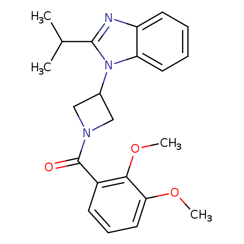 1-[1-(2,3-dimethoxybenzoyl)azetidin-3-yl]-2-(propan-2-yl)-1H-1,3-benzodiazole