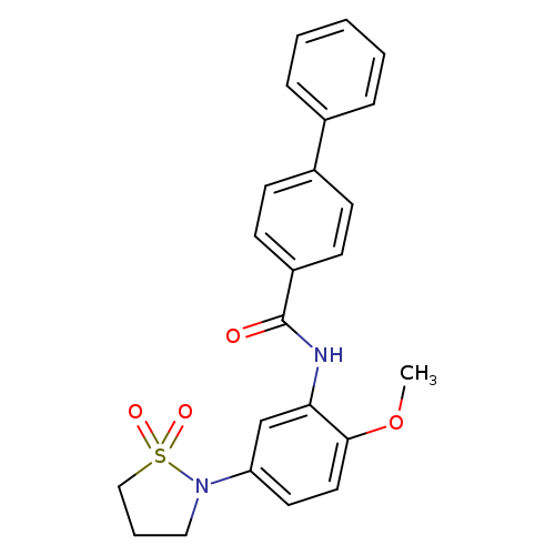 N-[5-(1,1-dioxo-1lambda6,2-thiazolidin-2-yl)-2-methoxyphenyl]-[1,1'-biphenyl]-4-carboxamide