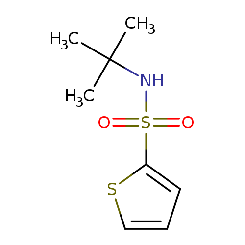 N-tert-Butyl-2-thiophenesulfonamide