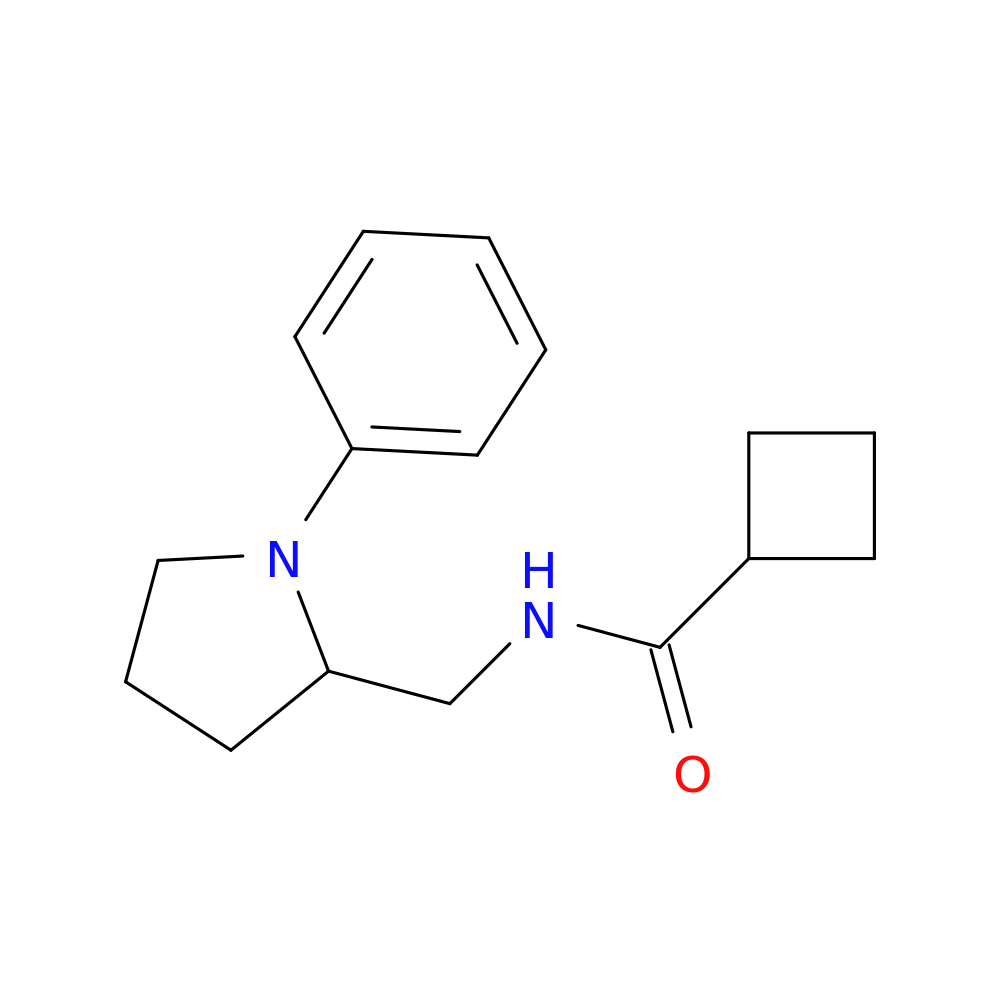 N-[(1-phenylpyrrolidin-2-yl)methyl]cyclobutanecarboxamide