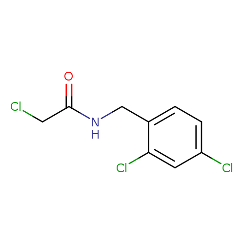 2-CHLORO-N-(2,4-DICHLORO-BENZYL)-ACETAMIDE