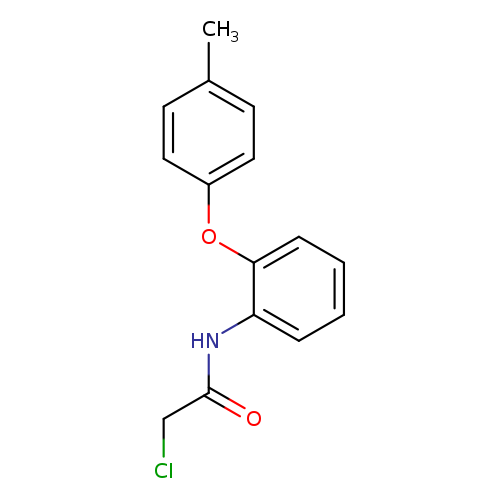 2-chloro-N-[2-(4-methylphenoxy)phenyl]acetamide