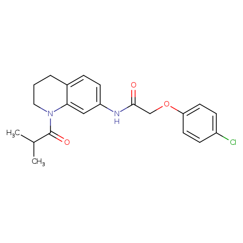 2-(4-chlorophenoxy)-N-[1-(2-methylpropanoyl)-1,2,3,4-tetrahydroquinolin-7-yl]acetamide