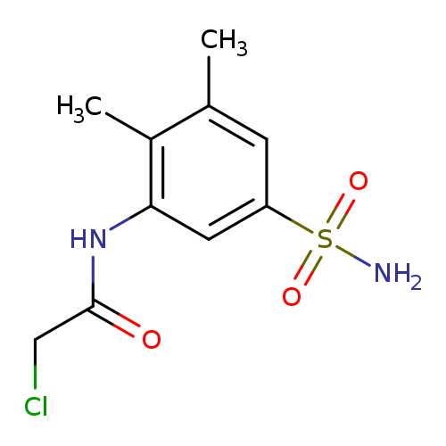 N-[5-(AMINOSULFONYL)-2,3-DIMETHYLPHENYL]-2-CHLOROACETAMIDE