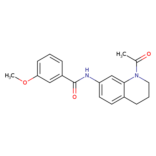 N-(1-acetyl-1,2,3,4-tetrahydroquinolin-7-yl)-3-methoxybenzamide