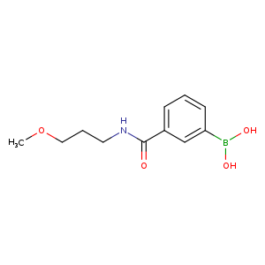 3-(3-Methoxypropylcarbamoyl)phenylboronic acid